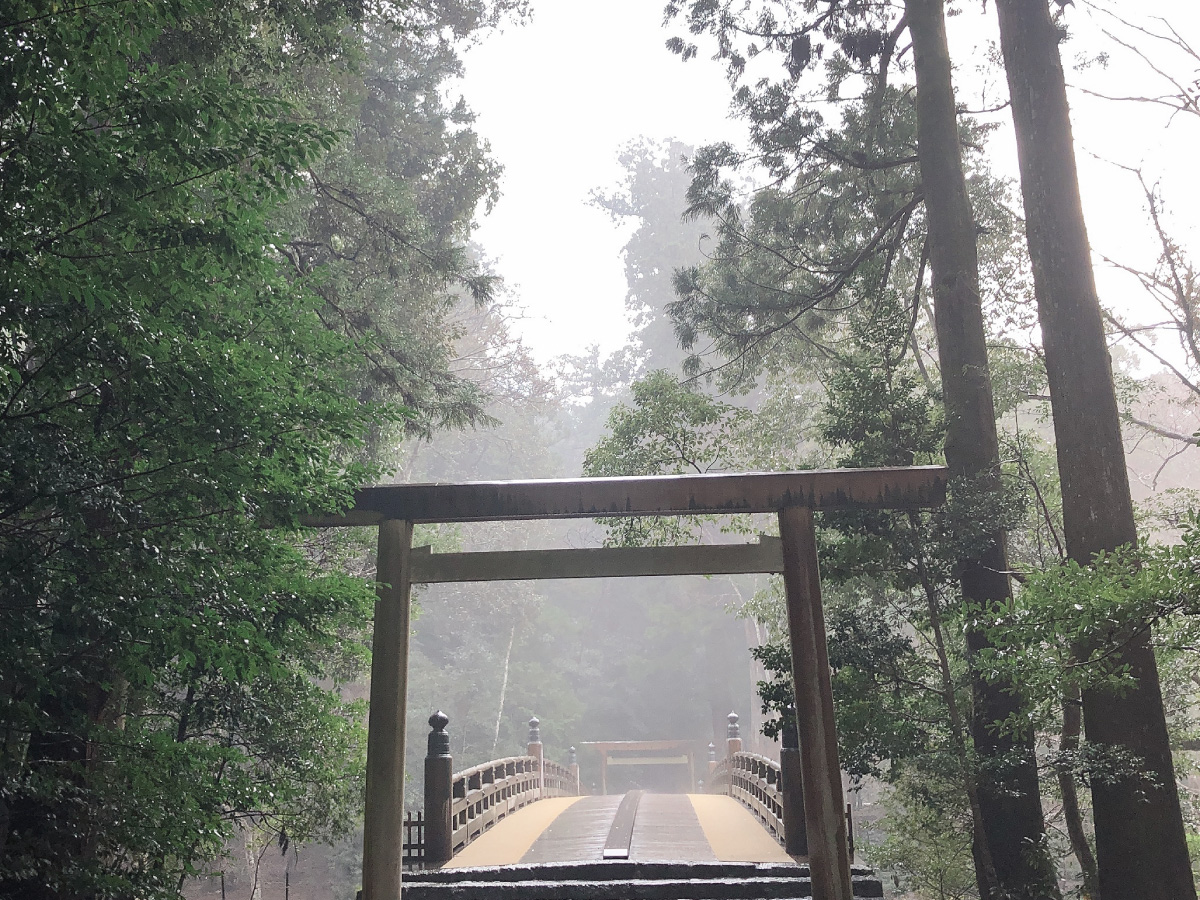 霧に包まれた神社の鳥居と参道